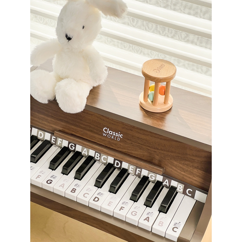 CLASSIC WORLD Drewniane Pianino Klasyczne + Książeczka do Nauki - obrazek 9