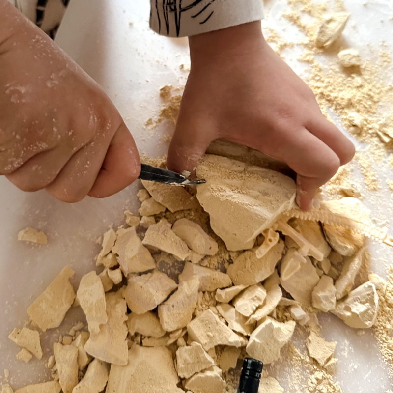 WOOPIE Zabawka Kreatywna Dinozaur Szkielet Wykopalisko Archeologiczne - obrazek 5