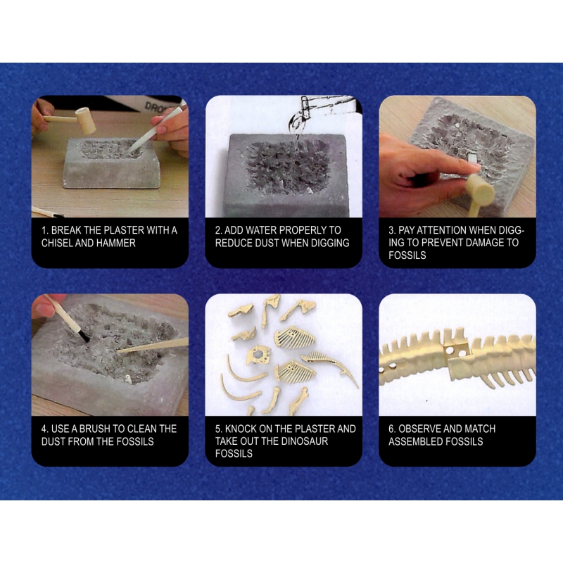 WOOPIE Zabawka Kreatywna Dinozaur Szkielet Wykopalisko Archeologiczne - obrazek 8