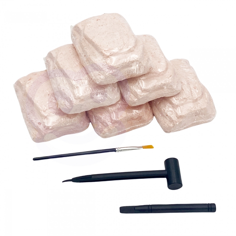 WOOPIE Zabawka Kreatywna Dinozaur Szkielet Wykopalisko Archeologiczne - obrazek 2