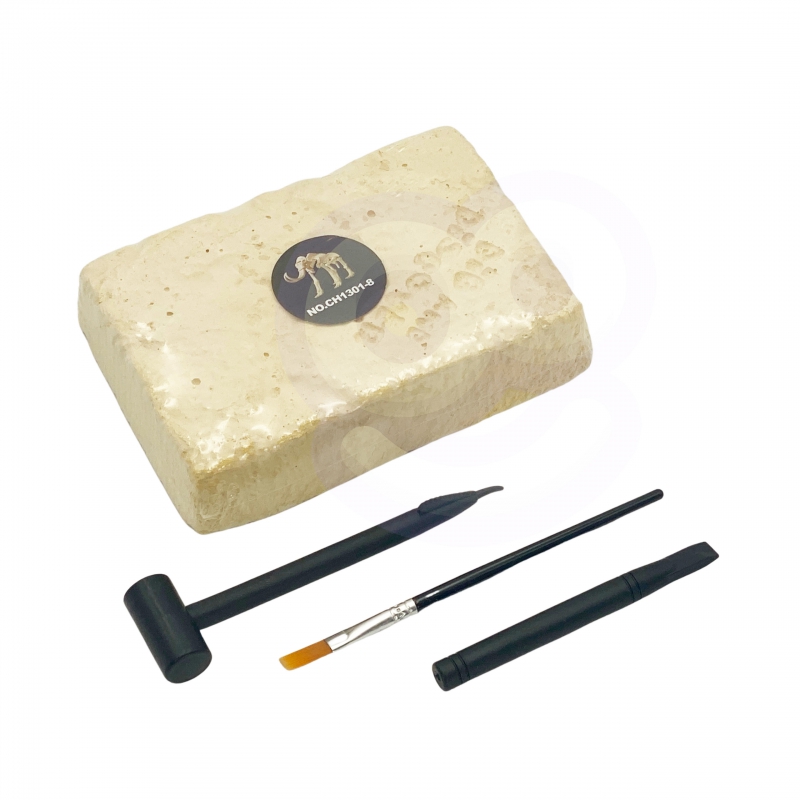 WOOPIE Zabawka Kreatywna Dinozaur Szkielet Wykopalisko Archeologiczne - obrazek 3