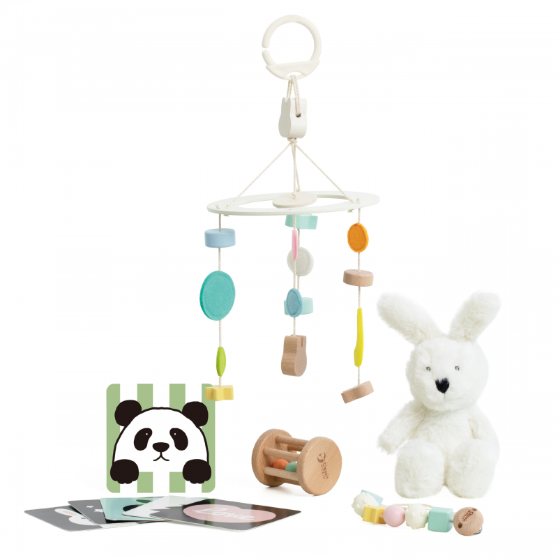 CLASSIC WORLD Pastelowy Zestaw dla Niemowląt Box Pierwsze Zabawki od 0 - 6 miesięcy - obrazek 9