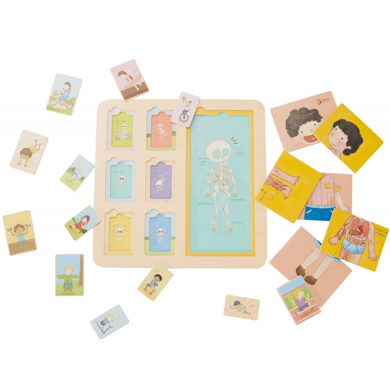 CLASSIC WORLD Tablica Edukacyjna Ciało Ludzkie Układanka Klocki Puzzle dla Dzieci Dopasuj MONTESSORI 19 el. - obrazek 6