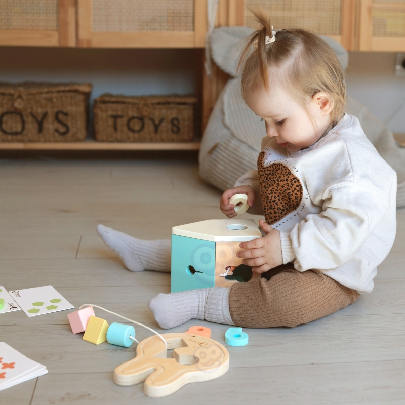 CLASSIC WORLD Pastelowy Zestaw dla Niemowląt Box Pierwsze Zabawki do Nauki od 12 do 18 miesiąca - obrazek 2