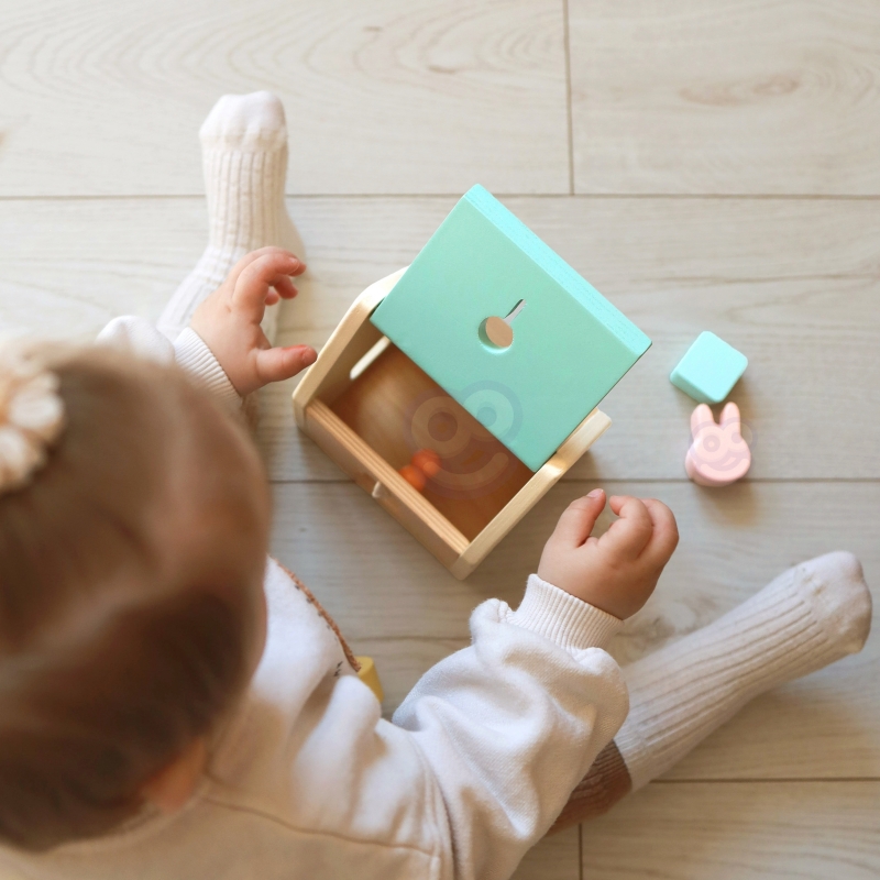 CLASSIC WORLD Pastelowy Zestaw dla Niemowląt Box Pierwsze Zabawki do Nauki od 12 do 18 miesiąca - obrazek 5