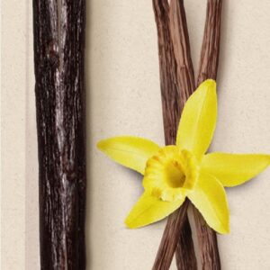 WANILIA BOURBON LASKA BEZGLUTENOWA BIO (2 szt.) - BIOVEGAN