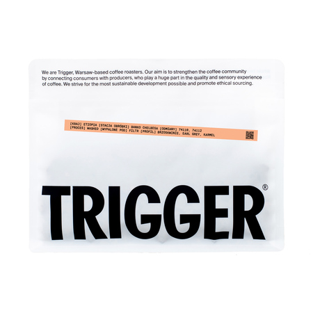Trigger - kawa ziarnista Etiopia Chelbesa Washed Filter 250 g