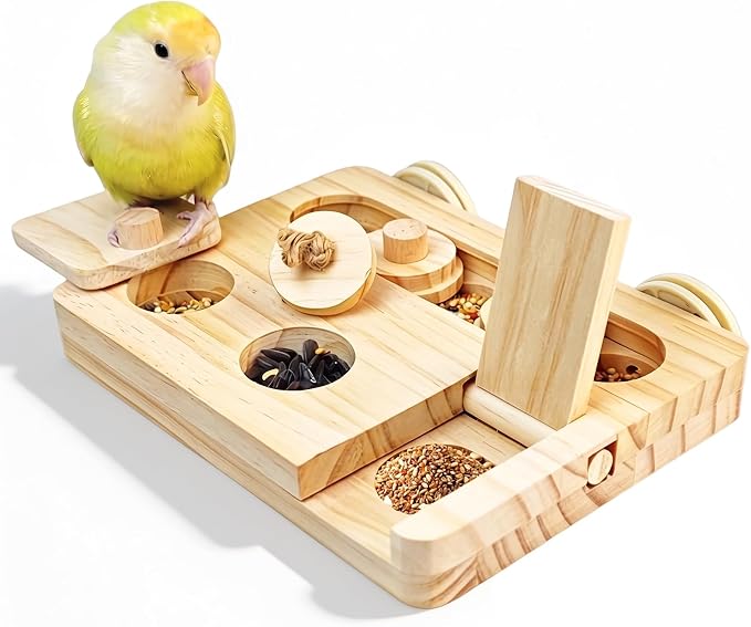 Puzzle do poszukiwania pokarmu dla ptaków