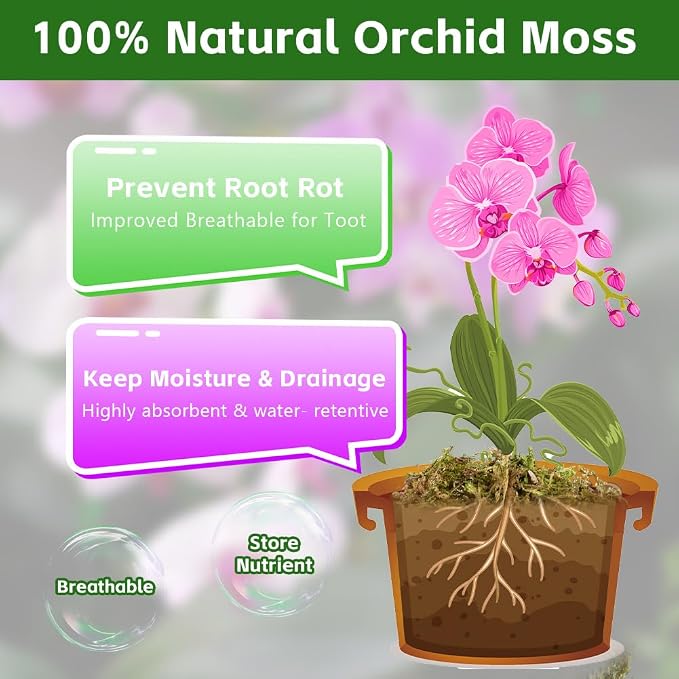 茫OFFCUP 150 g premium mchu torfowcowego do terrarium - obrazek 3