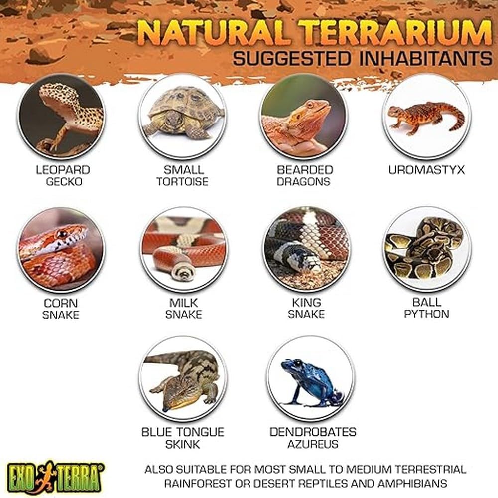 Exo Terra Nano Terrarium Czarny - obrazek 4