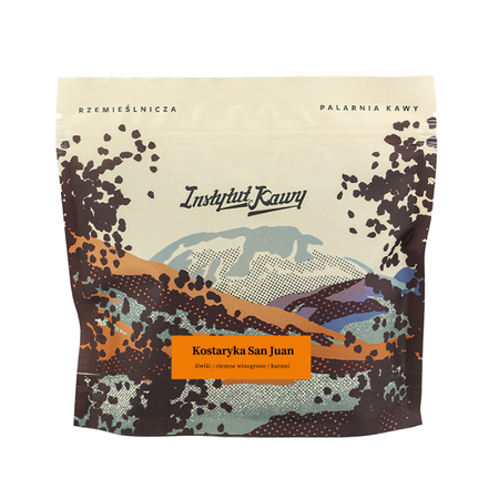 Instytut Kawy - kawa ziarnista Kostaryka San Juan Natural Filter 250 g