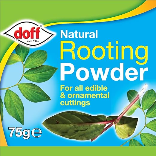 Doff 75g-KE075 Naturalny proszek do ukorzeniania 75 - obrazek 5