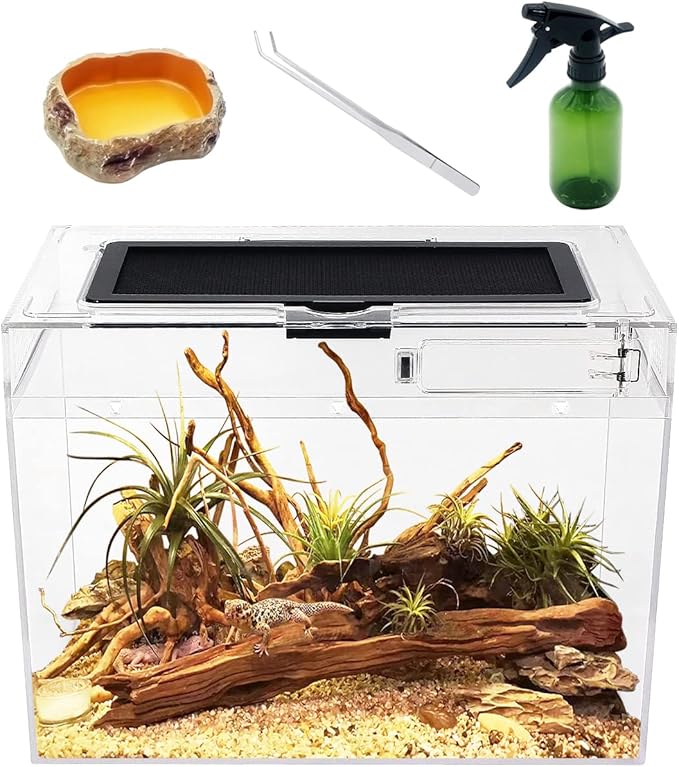 Reptile Growth Mini zbiornik na komputer z gadem