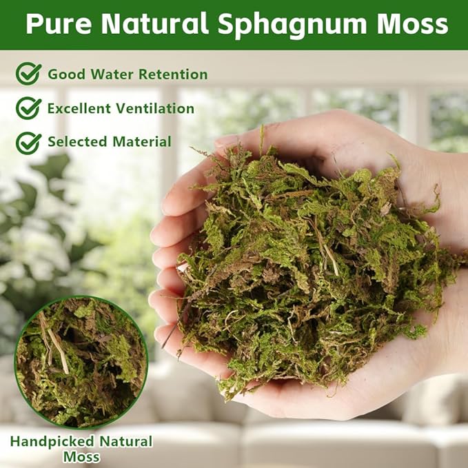 茫OFFCUP 150 g premium mchu torfowcowego do terrarium - obrazek 5
