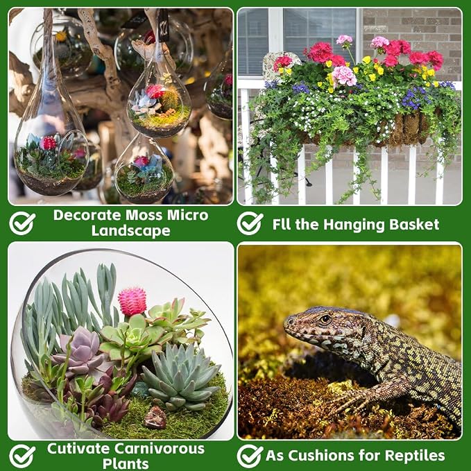 茫OFFCUP 150 g premium mchu torfowcowego do terrarium - obrazek 4