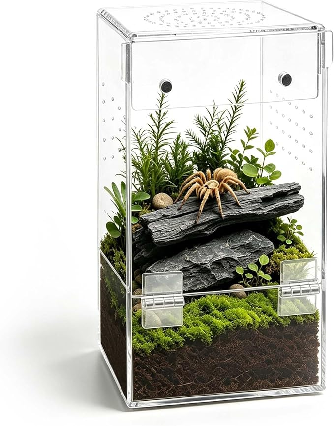 Akrylowe terrarium mini faunarium dla skaczących pająków