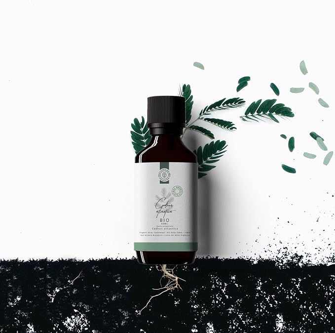 50ml Olejek eteryczny z Cedru Atlast BIO - obrazek 5