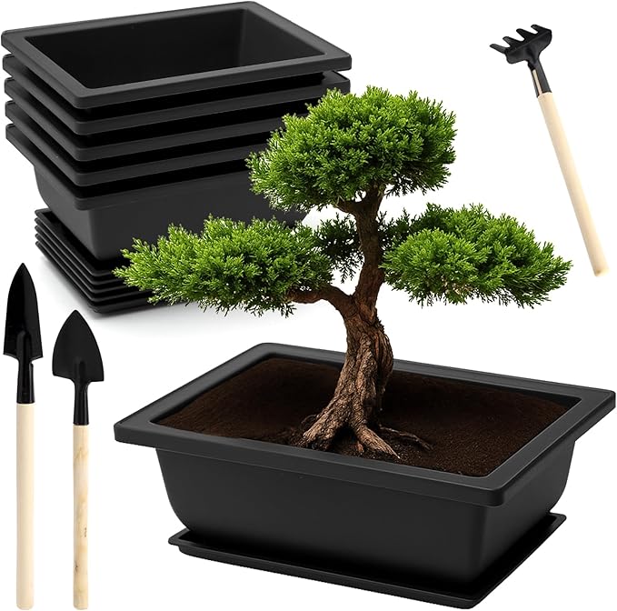 APOMOONS 6 misek bonsai z podstawką i małym zestawem narzędzi