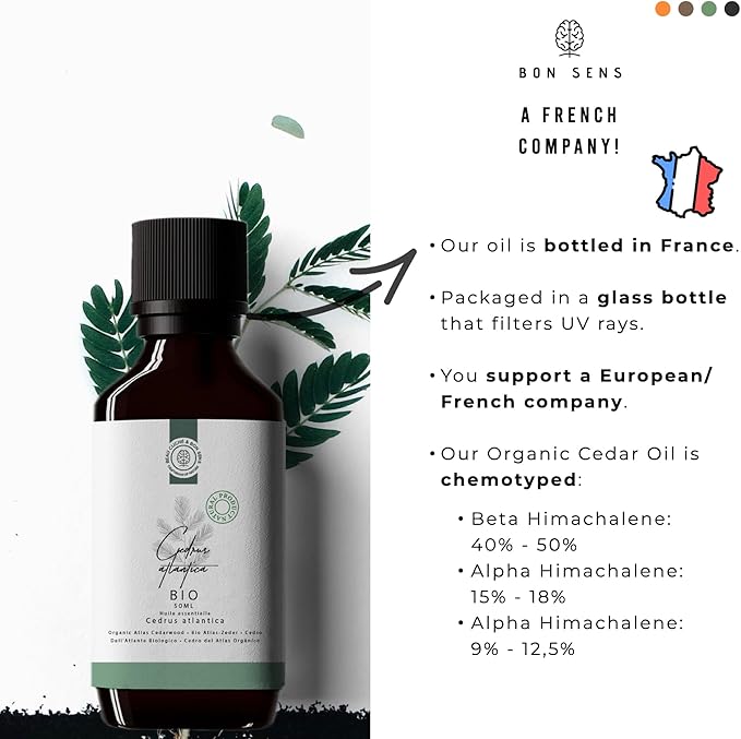 50ml Olejek eteryczny z Cedru Atlast BIO - obrazek 6