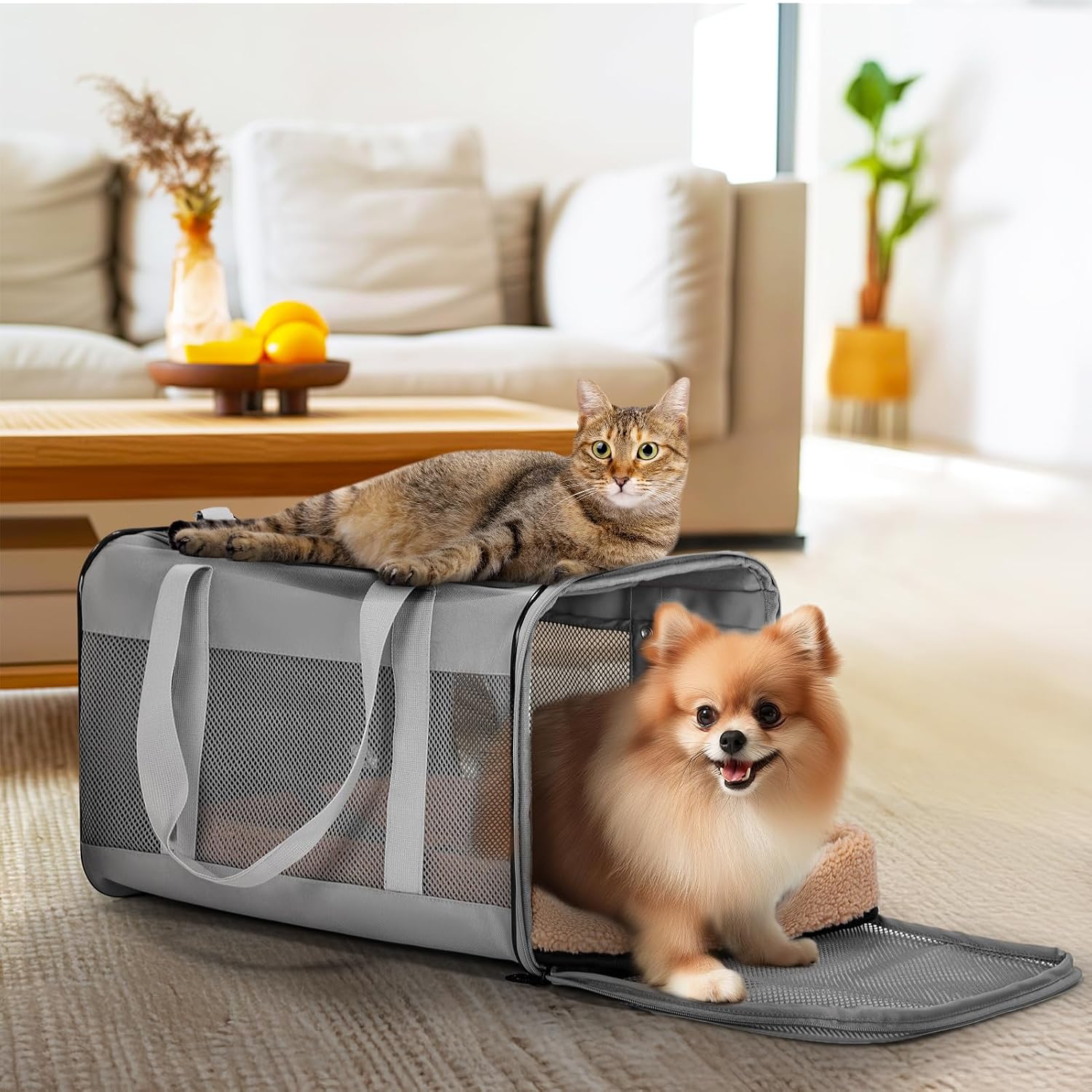 PETSFIT Transporter samochodowy dla dużego kota - obrazek 6