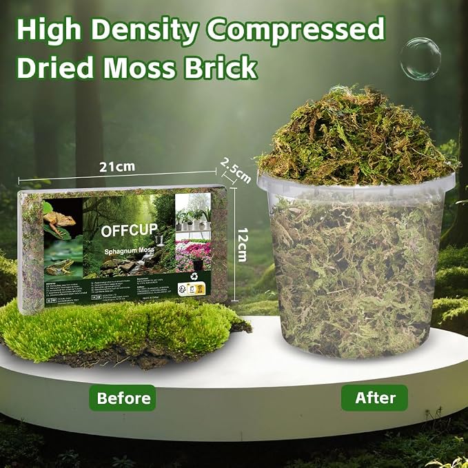 茫OFFCUP 150 g premium mchu torfowcowego do terrarium - obrazek 2