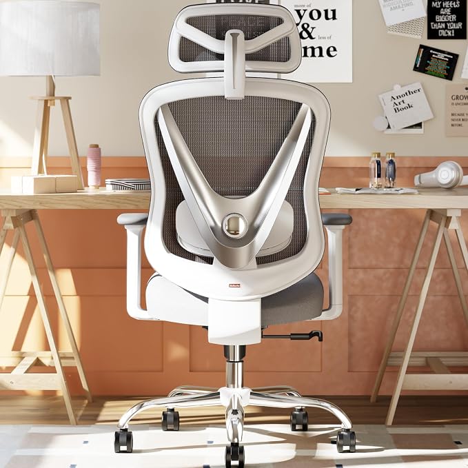 HOLLUDLE Ergonomiczne Krzesło Biurowe z Podparciem Lędźwiowym 3D
