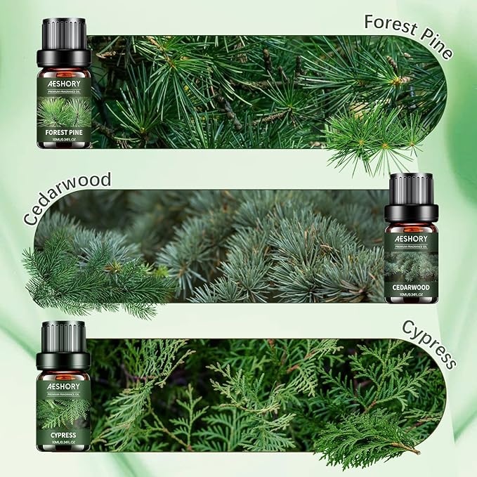 Aeshory 6 x 10ml Drzewny Zestaw Olejków Eterycznych Do Dyfuzorów - obrazek 4