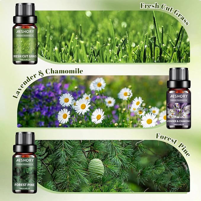 AESHORY 6 x 10ML Zestaw Naturalnych Olejków Eterycznych Do Dyfuzora - obrazek 3