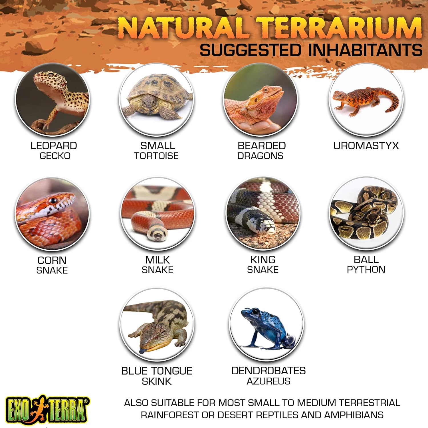Exo Terra Nano Terrarium Czarny - obrazek 6