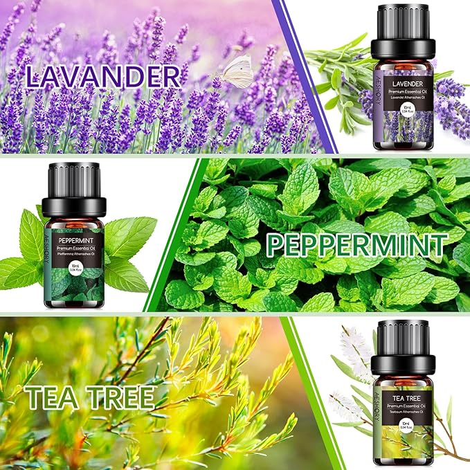 AESHORY Olejki Eteryczne Do Dyfuzorów 6 x 10ML - obrazek 2
