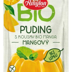 BUDYŃ MANGO BEZGLUTENOWY BIO 40 g - AMYLON