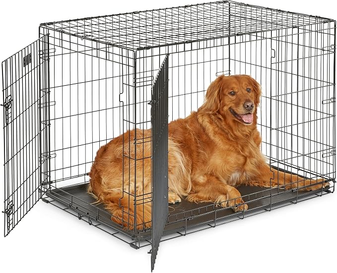 MidWest Homes for Pets Nowo ulepszone podwójne drzwi iCrate 106,68 cm (106,68 cm) długa skrzynia dla psa, zawiera szczelną patelnię, nóżki chroniące podłogę, panel działowy i nowe opatentowane