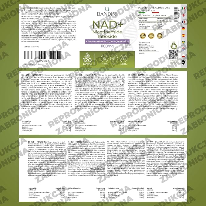 Bandini® Liposomalny NAD+ 120 kapsułek - obrazek 5