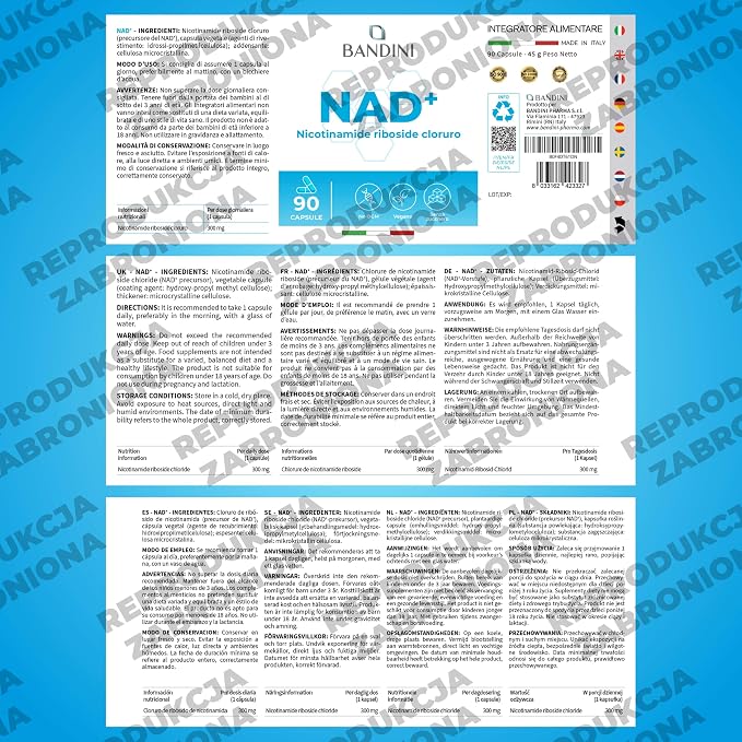 Bandini® NAD+ Nikotynamid rybozyd suplement 300 mg - obrazek 5