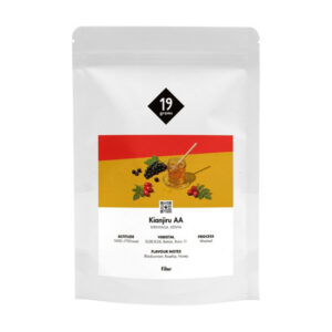 19grams - kawa ziarnista Kenia Kianjiru AA Washed Filter 250 g