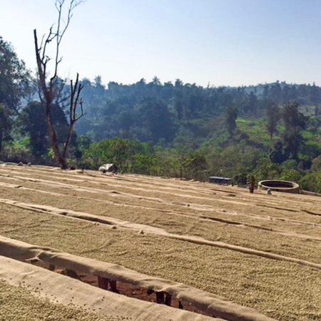 The Barn - kawa ziarnista Etiopia Kayon Mountain Summer Coffee Washed Filter 250 g - obrazek 3